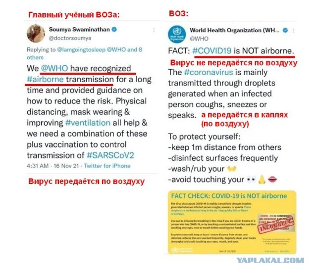 Зомби-апокалипсис 2022
