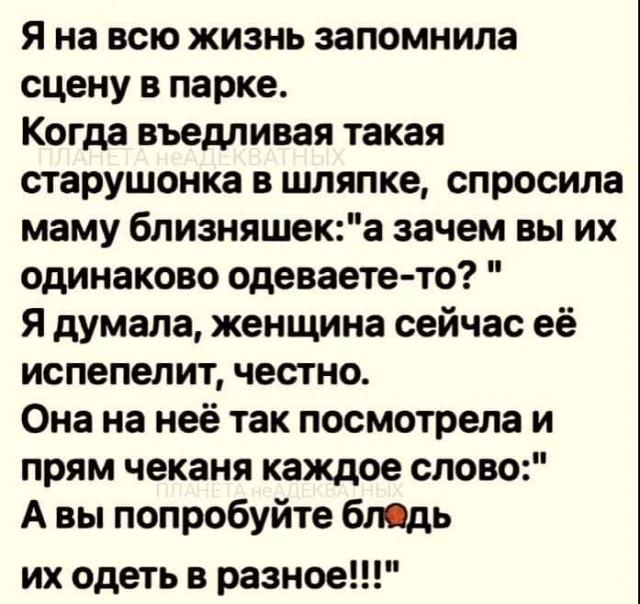Всяческие картинки 24.11.2021