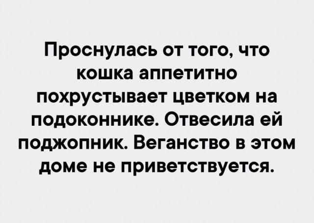 Так себе картинки 31.12.21