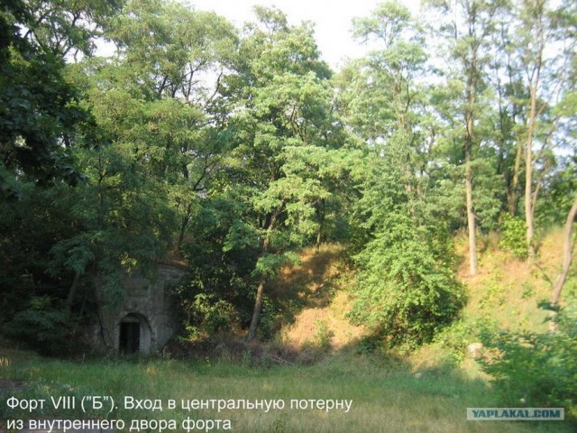 Форты Бреста