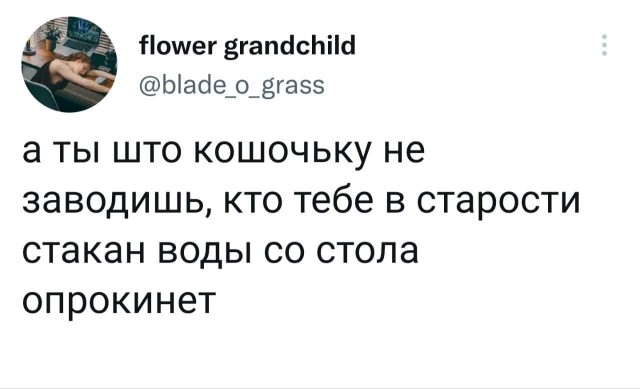 Так себе картинки 11.02.22