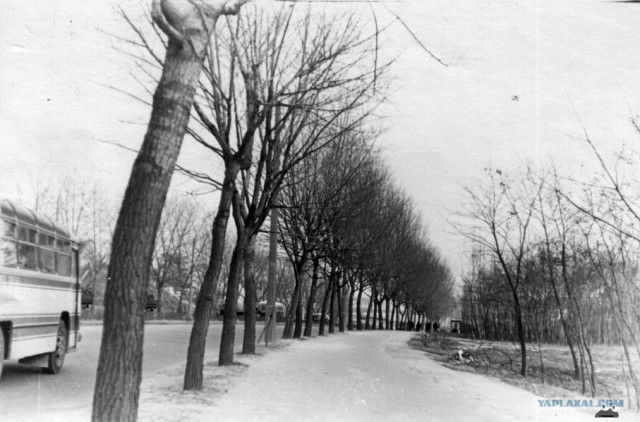 Киев середины 20-го века.