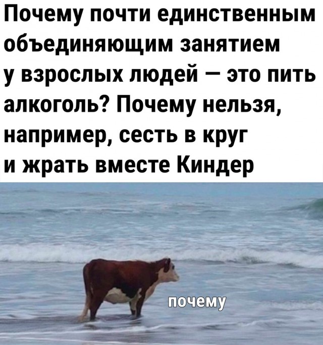 Так себе картинки 29.04.22
