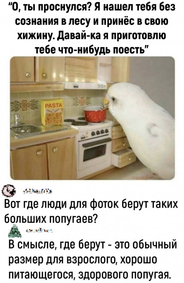 Так себе картинки 16.06.22