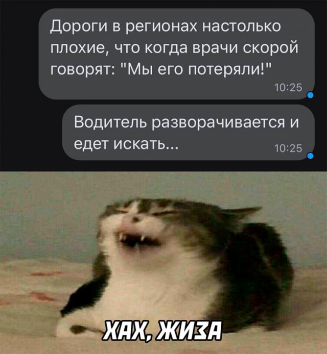 Весёлый полтишок 20.07.2022