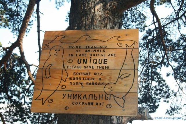 Путешествие по Байкалу