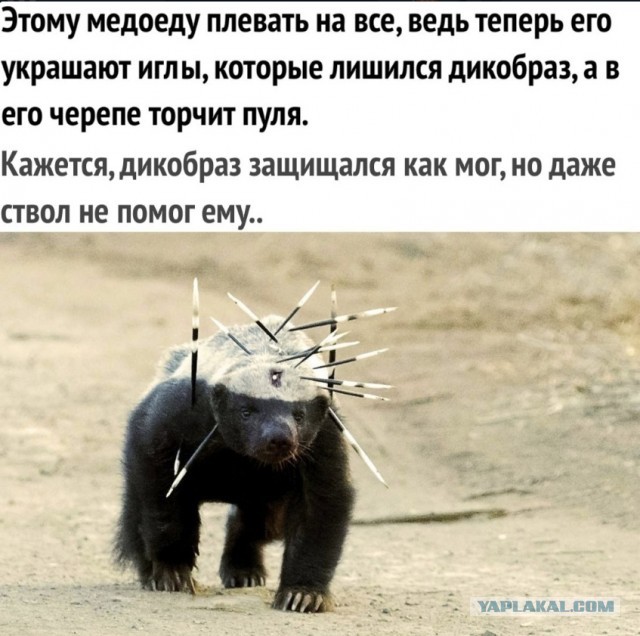 Немного картинок для настроения - 127