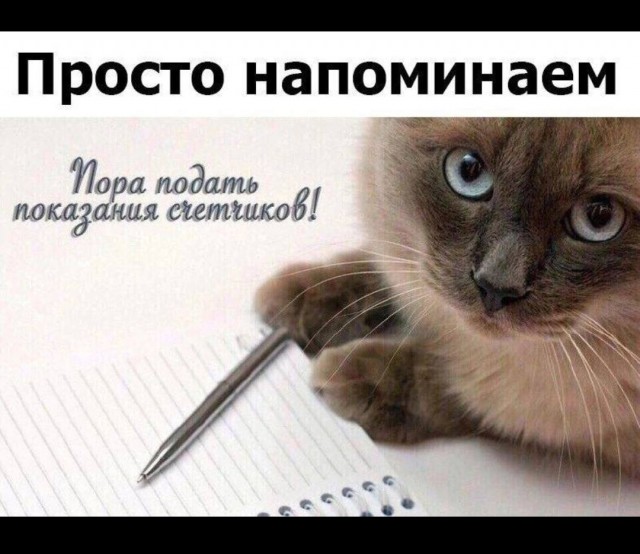 Умный электросчётчик стал занижать показания. Как не встрять?