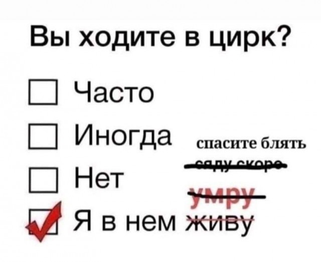 Как люди, которых «не просили рожать», оказались «предателями»