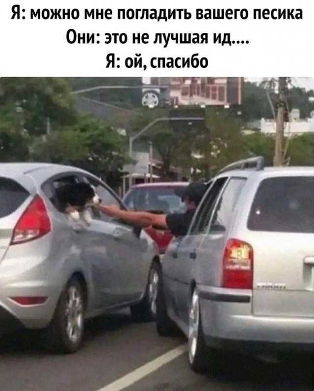 Картинки и мемы, всем хороших выходных