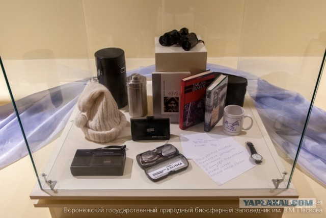 Дорога к бобру