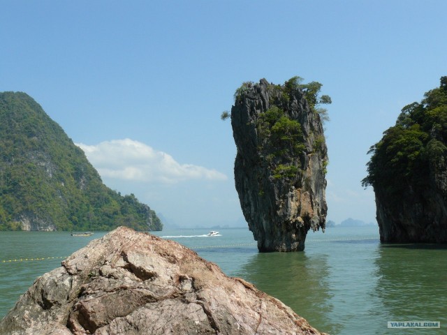 Немного Тая