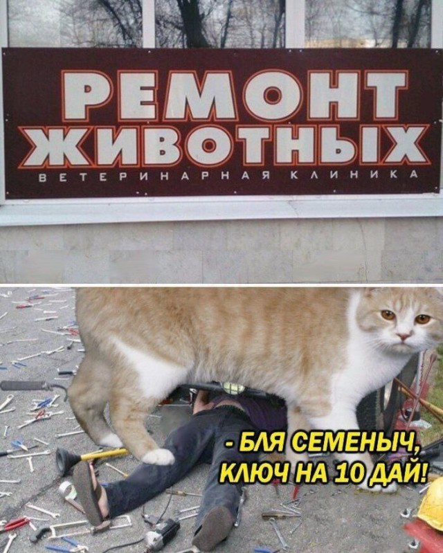 Сестренки, а такие разные