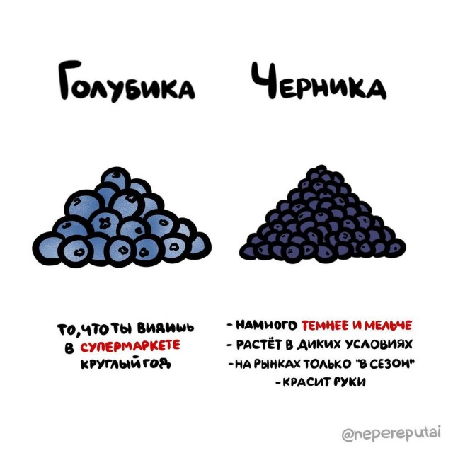 Смотри, Кутузов, не перепутай... vol.3