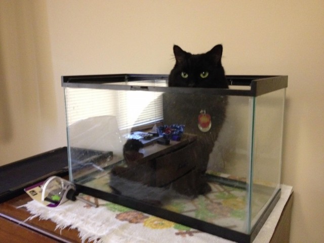 Подборка интересных и прикольных фото из Сети 01.04.23