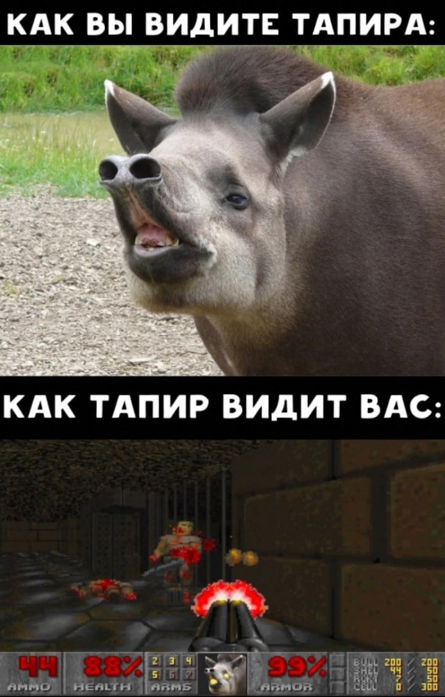 Папин бродяга,мамин симпатяга...⁠⁠