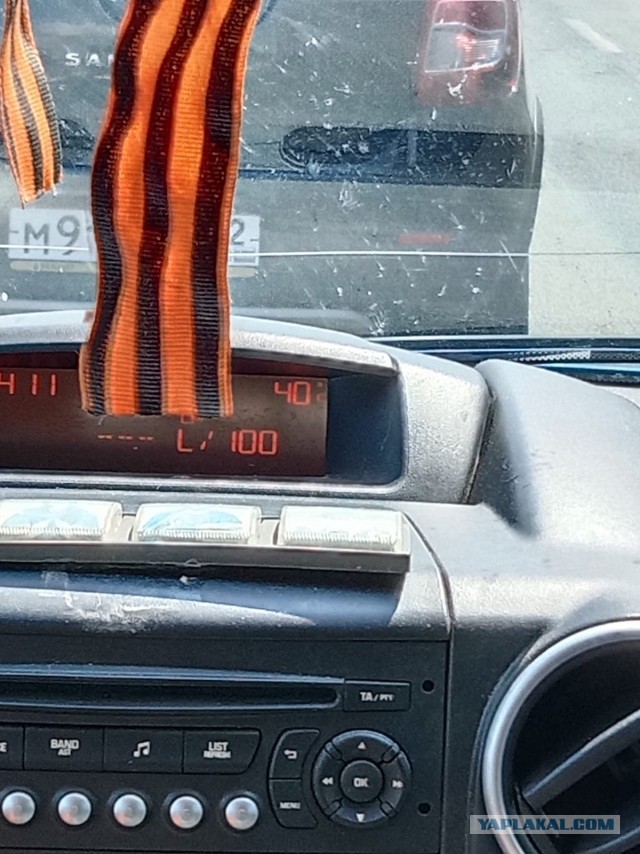 История одного котенка