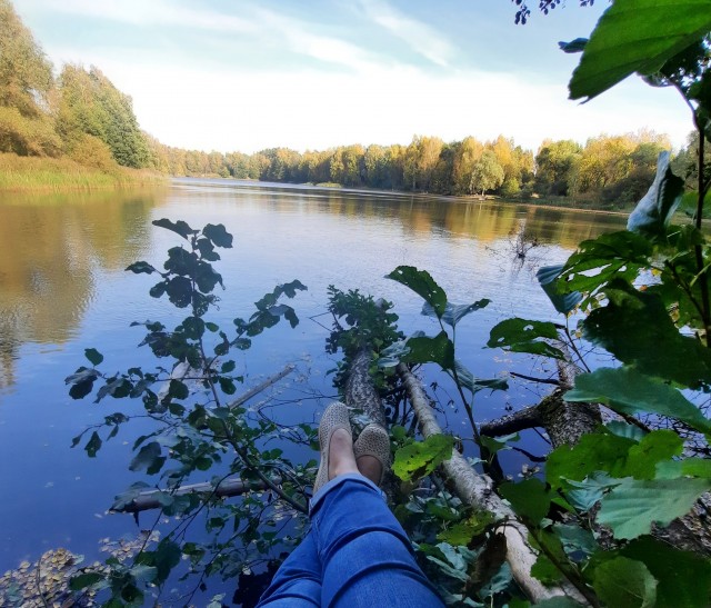 Краски осени