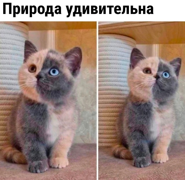 Так себе картинки 12.10.23