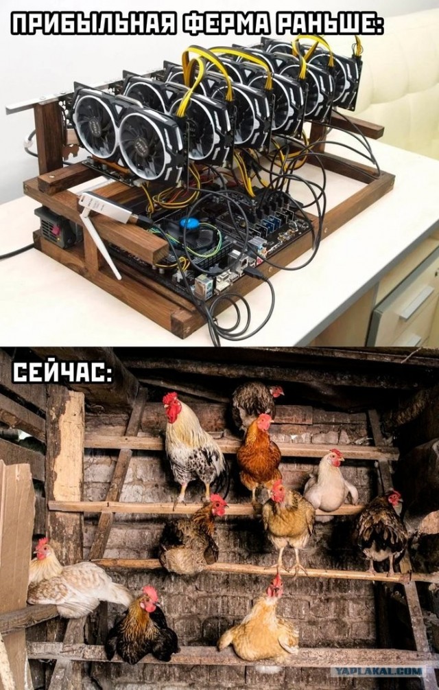 Не много весёлых картинок