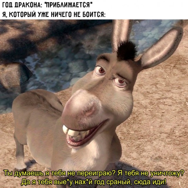 Весёлый полтишок 02.01.24