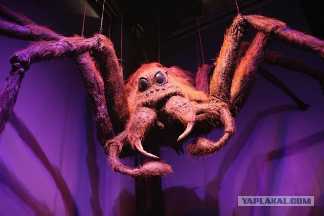 28 малоизвестных фактов о съёмках «Гарри Поттера»