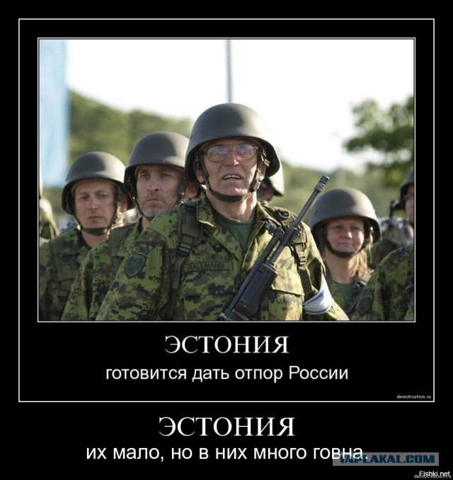 Эстония готова нанести России превентивный удар