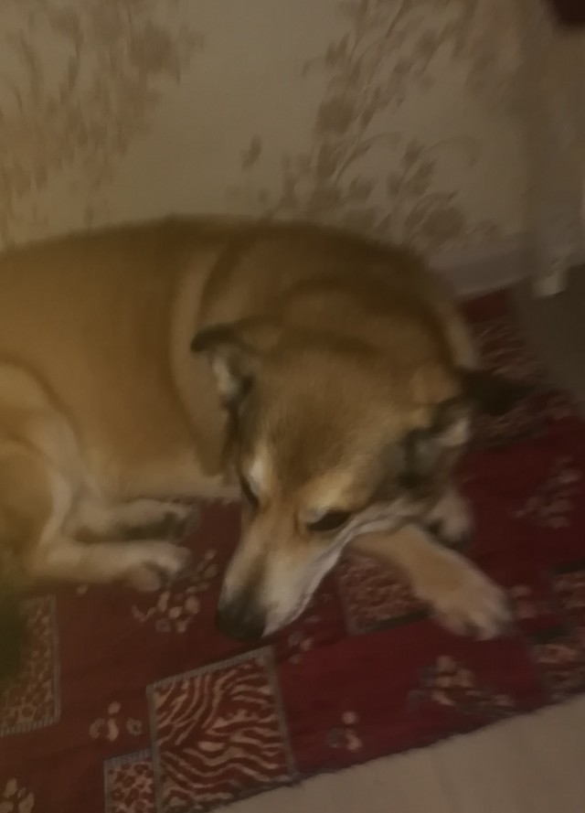 Что-то на добром языке