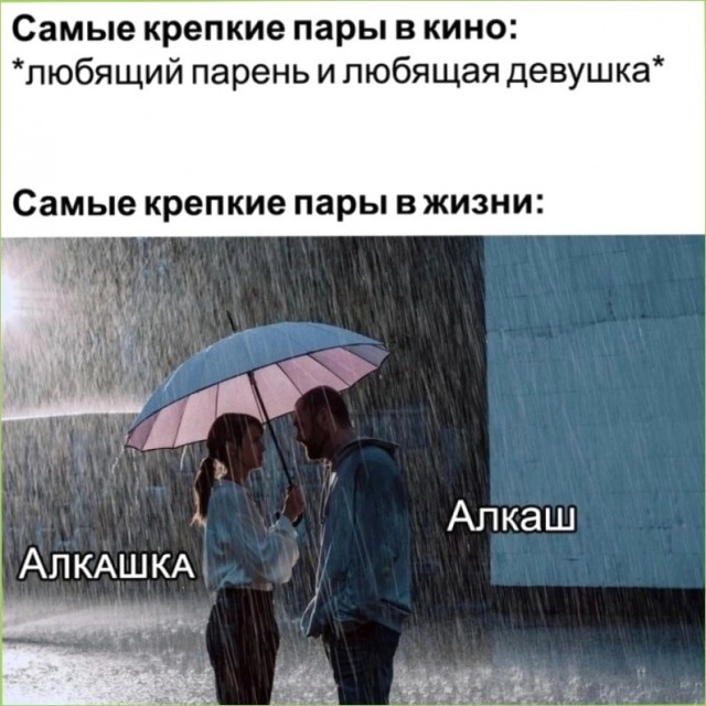 Весёлый полтишок 27.09.24