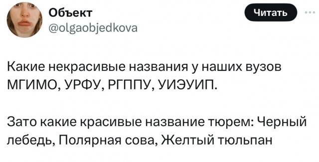 Нуштош 08.10.2024
