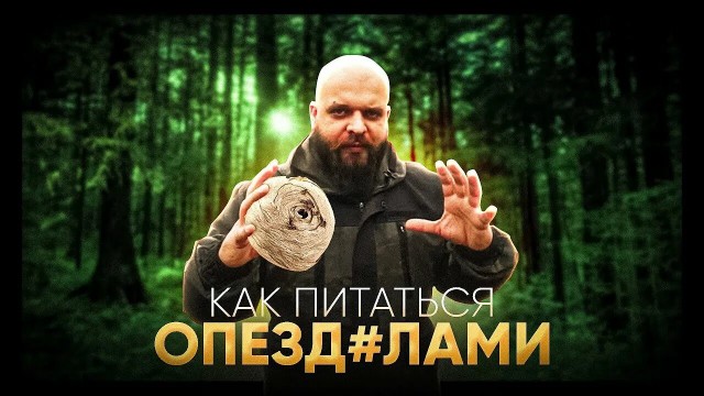 Полезное видео о выживании в лесу
