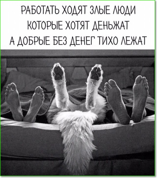 Так себе картинки 12.03.25