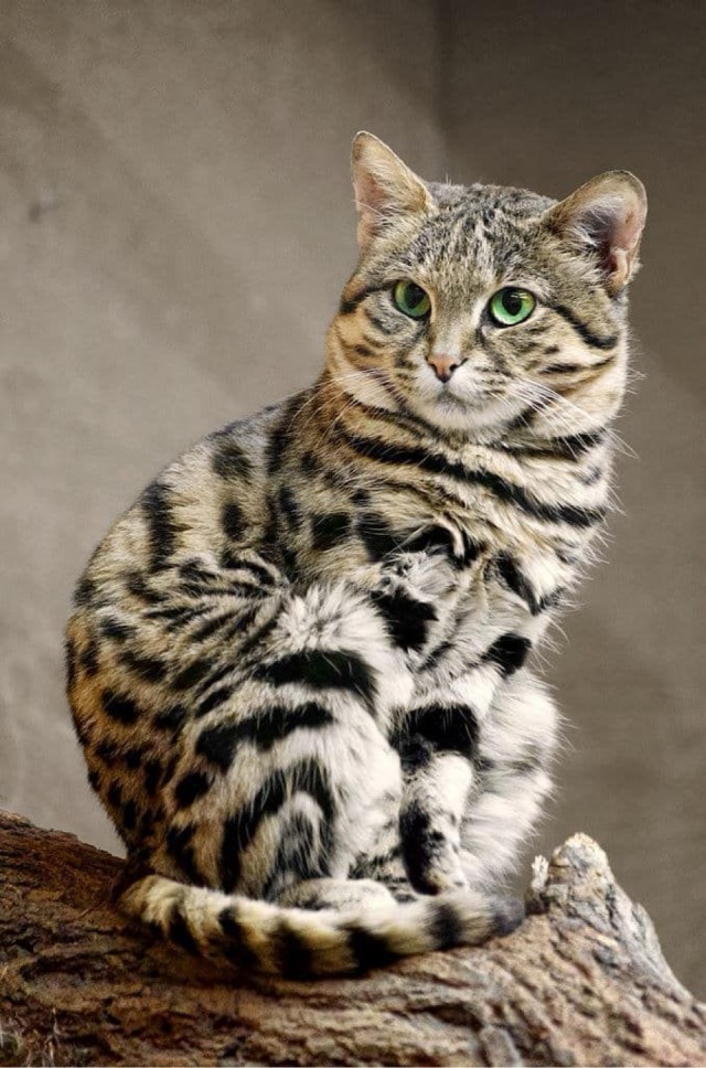 Прикольные и просто красивые картинки 06.05.2025