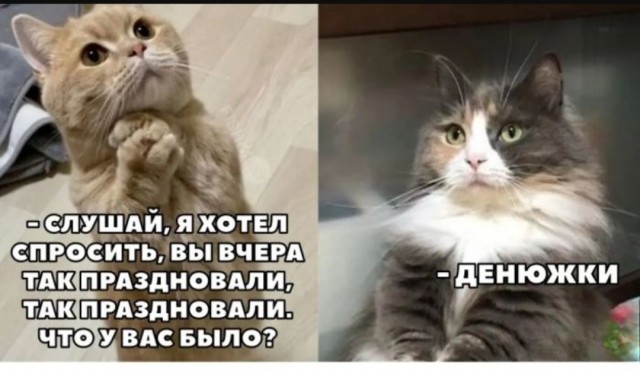 Интернет мемы на утро субботы