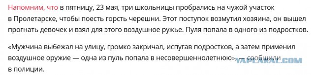 Ростовский дед так яростно защищал свою черешню, что обстрелял 13-летних школьниц, которые на нее покусились
