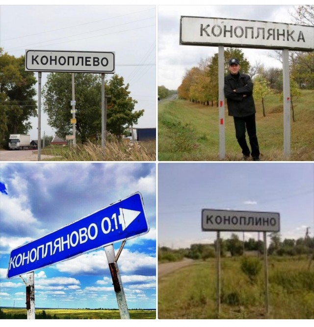 Прикольные и просто красивые картинки 10.06.2025