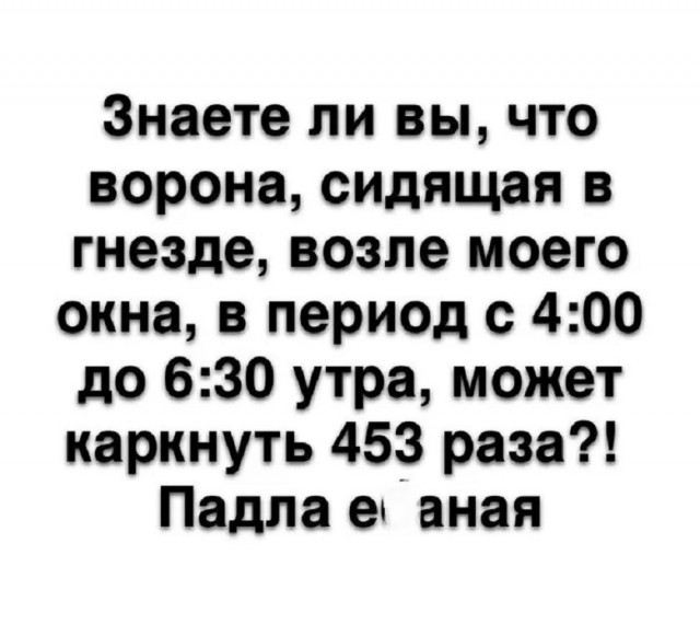 Так себе картинки 17.06.25