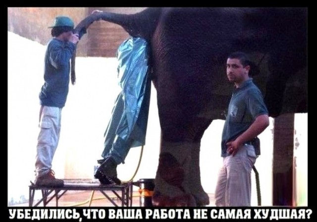 Тяжёлая работа