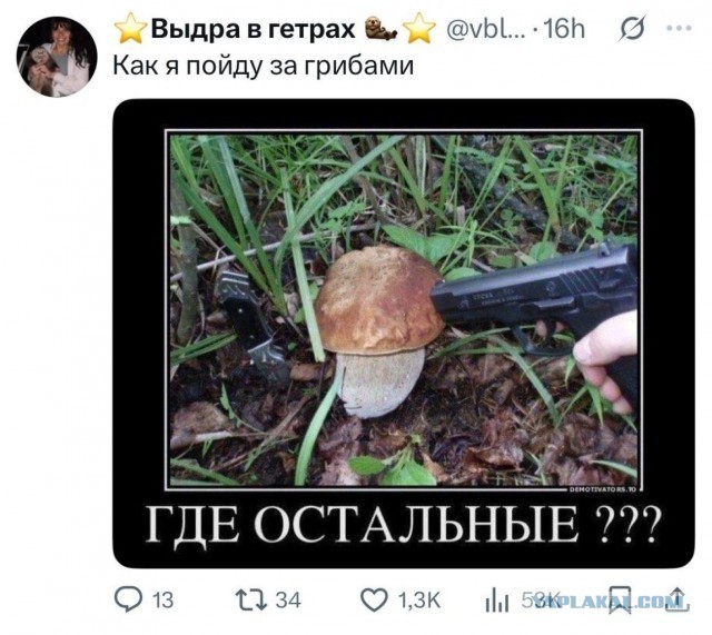 Картинки с надписями...