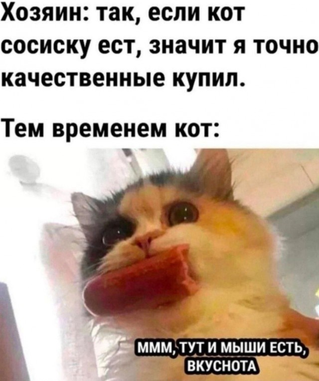 Так себе картинки 02.11.25