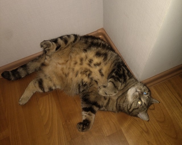 Ну начнемс ...!