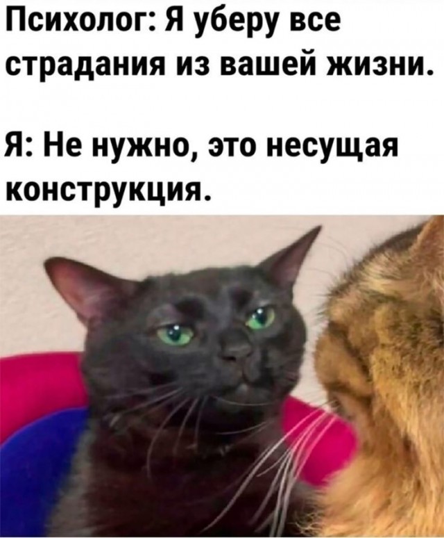 Так себе картинки 05.12.25