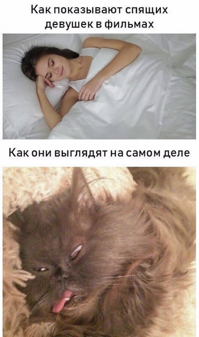 Картинки для деградации 104 (разной степени свежести)