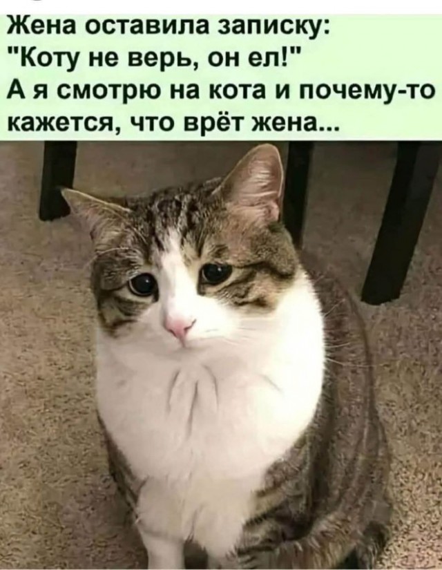 Веселые картинки в пятницу (26.12)