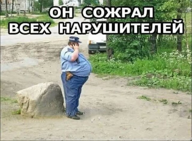 Так себе картинки 27.12.25