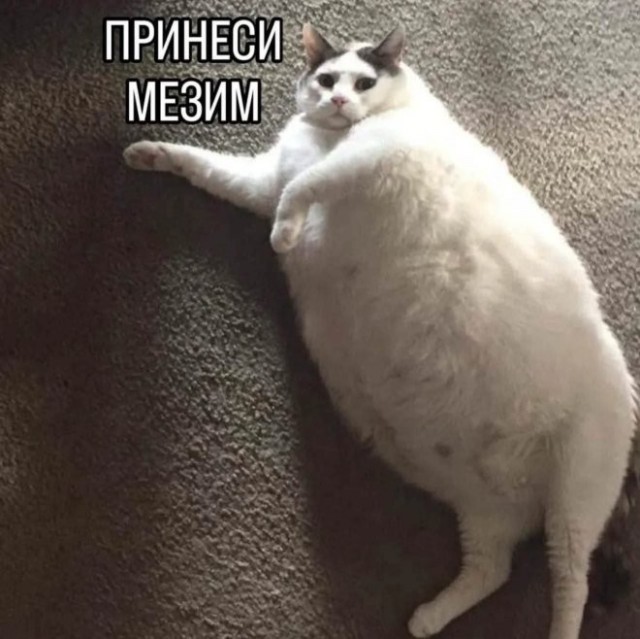 Картиночки, баянчики 03 января