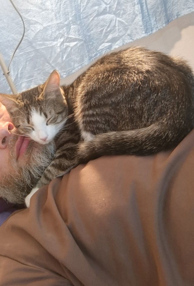 Спасение котят, не забугорное