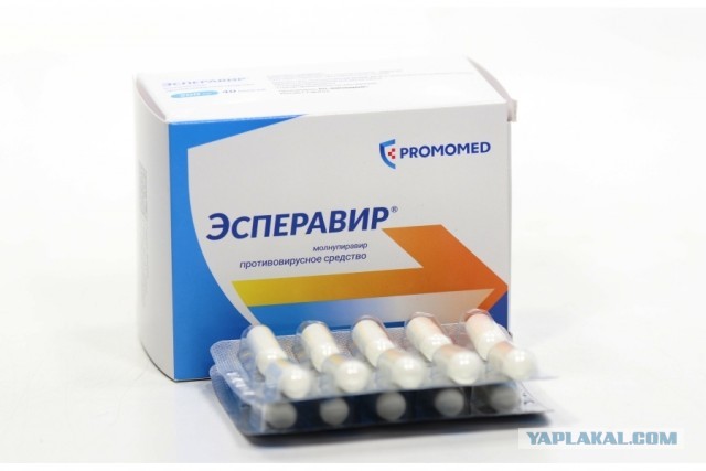 Знакомьтесь, это Дорито — кошка-пришелец с огромными «стеклянными» глазами