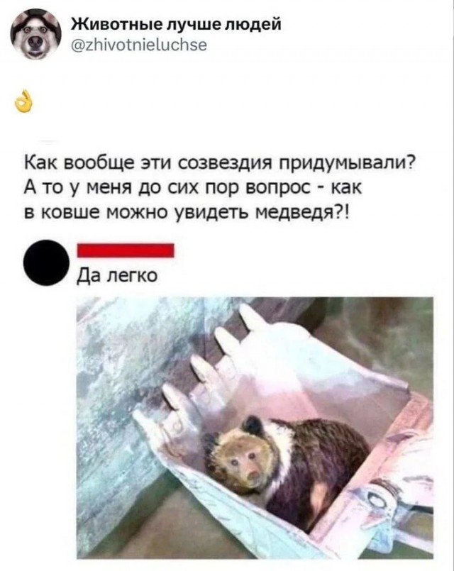 Прикольные и просто красивые картинки 27.02.2026