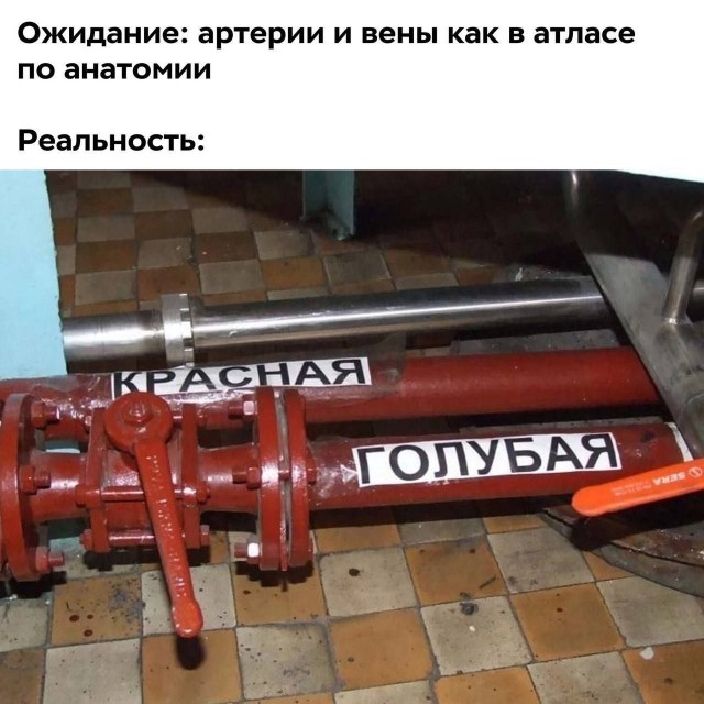 Картинки для деградации 162 (разной степени свежести)